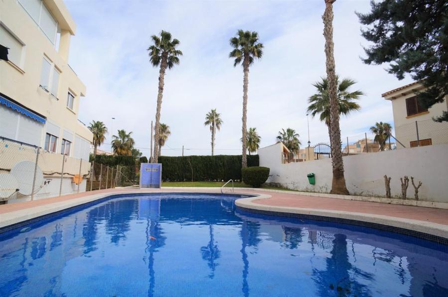 Studio In The Sun Lejlighed Torrevieja Eksteriør billede